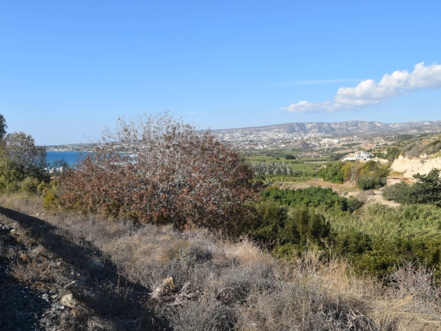Agricultural land in Kissonerga,Paphos