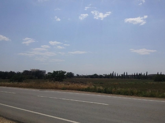 Field in Nisou, Nicosia