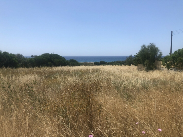 Agricultural land in Ayia Napa,Famagusta