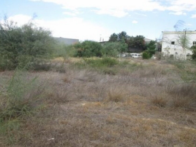 Field in Strovolos, Nicosia