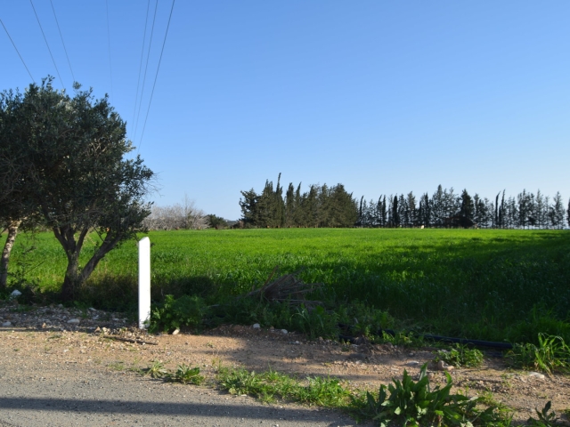 Residential land in Kouklia,Paphos