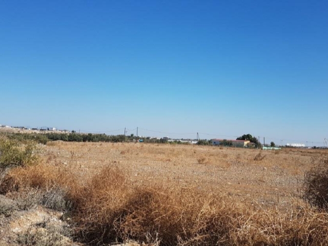 Field in Strovolos, Nicosia