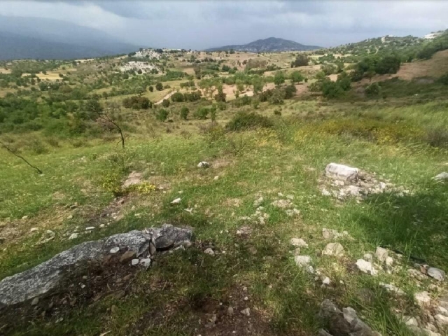 Field - Kelokedara, Paphos