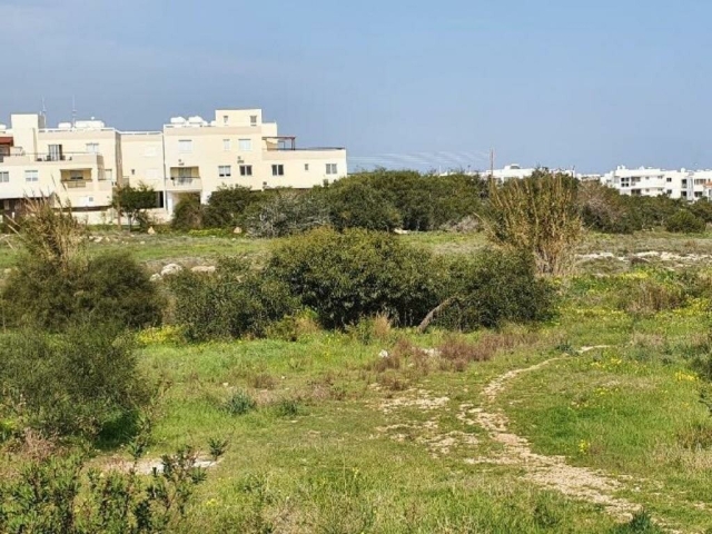 Field - Paralimni, Famagusta