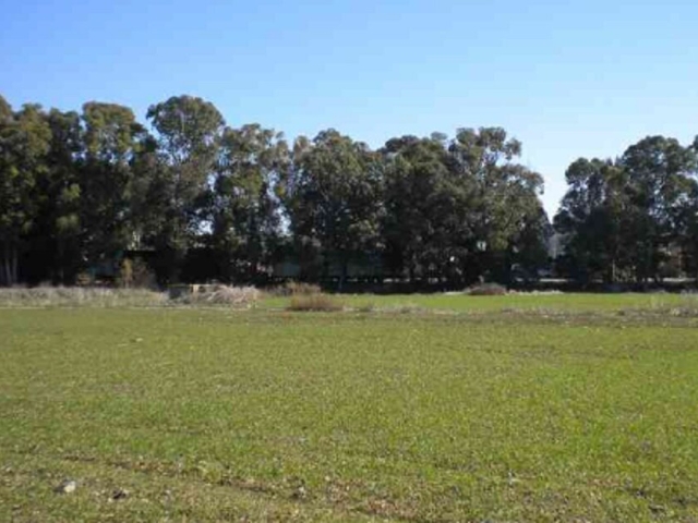 Two Fields in Lakatamia, Nicosia