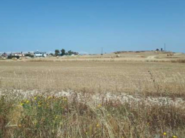 Field in Athienou, Larnaca