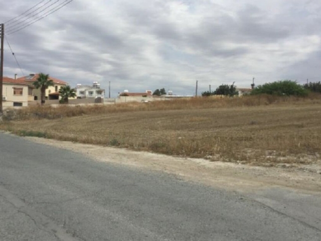 Field in Aradippou, Larnaca