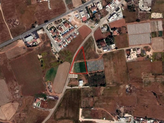 Field in Deryneia, Famagusta