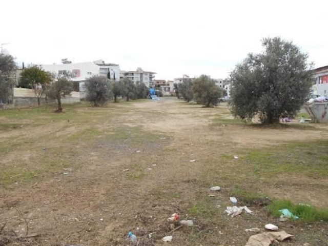 Field in Latsia, Nicosia
