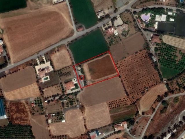 Field in Dali, Nicosia