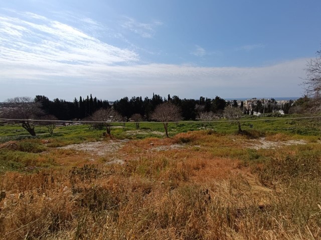 Residential land in Paphos City Centre,Paphos