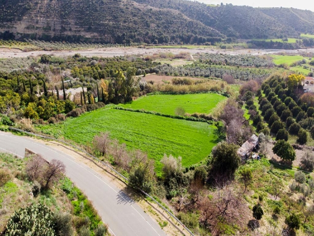 Field - Nikoklia, Paphos